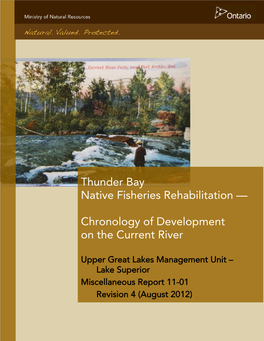 Chronology of Development on the Current River