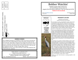 Bobber Watchins