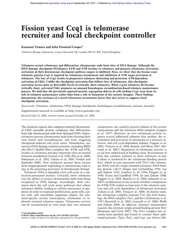 Fission Yeast Ccq1 Is Telomerase Recruiter and Local Checkpoint Controller