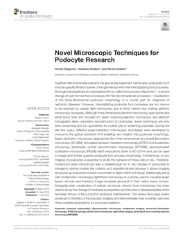 Novel Microscopic Techniques for Podocyte Research