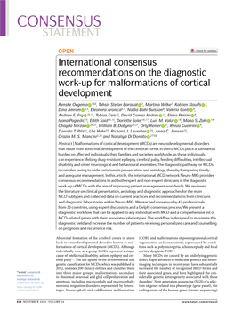 International Consensus Recommendations on the Diagnostic Work-Up for Malformations of Cortical Development