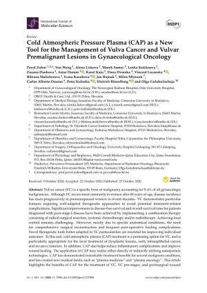 Cold Atmospheric Pressure Plasma (CAP) As a New Tool for the Management of Vulva Cancer and Vulvar Premalignant Lesions in Gynaecological Oncology