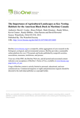 The Importance of Agricultural Landscapes As Key Nesting Habitats for the American Black Duck in Maritime Canada Author(S): David J