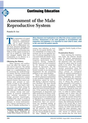 Assessment of the Male Reproductive System