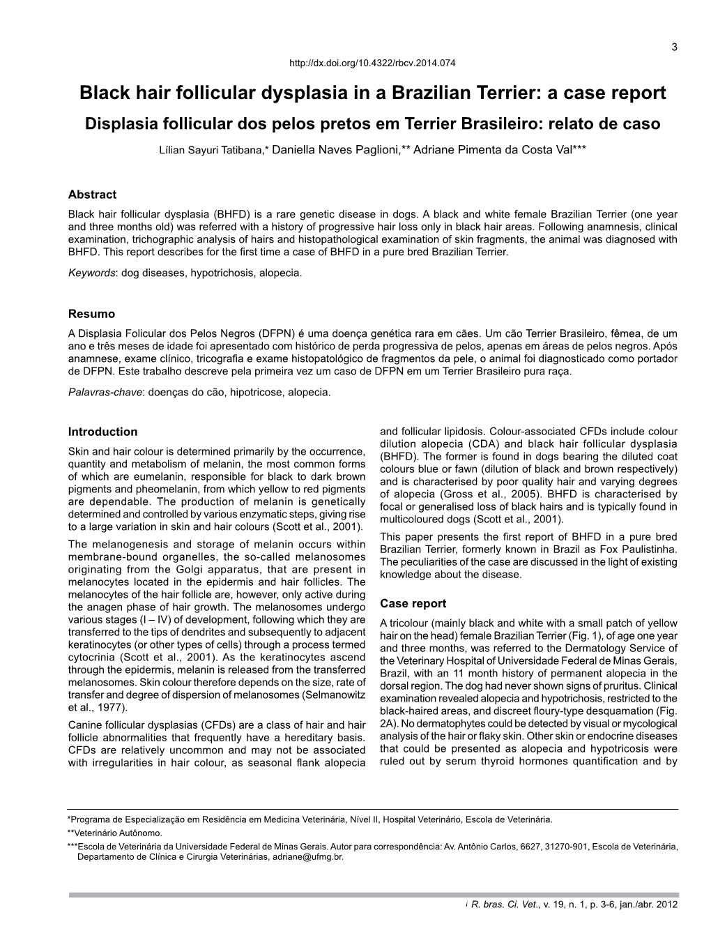 Black Hair Follicular Dysplasia in a Brazilian Terrier