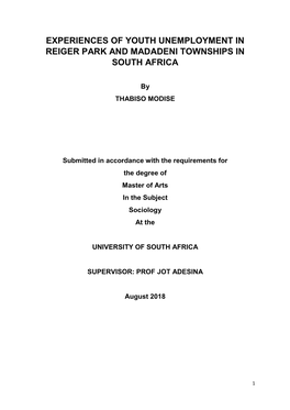 Experiences of Youth Unemployment in Reiger Park and Madadeni Townships in South Africa