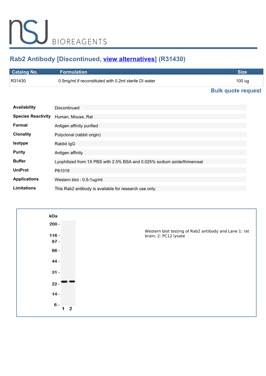 Rab2 Antibody [Discontinued, View Alternatives] (R31430)