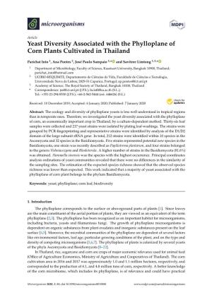 Yeast Diversity Associated with the Phylloplane of Corn Plants Cultivated in Thailand