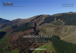 Mynogau Forest 2Mmv2