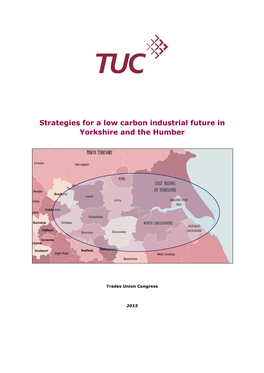Strategies for a Low Carbon Industrial Future in Yorkshire and the Humber