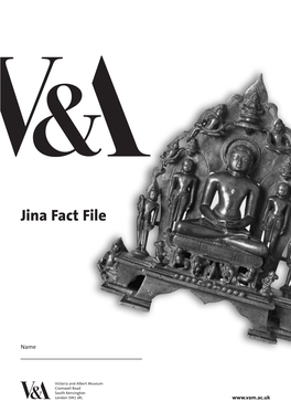 Jina Fact File