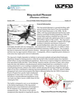 Ring-Necked Pheasants (Phasianus Colchicus)