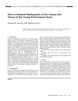 How to Interpret Radiographs of the Carpus and Tarsus of the Young Performance Horse