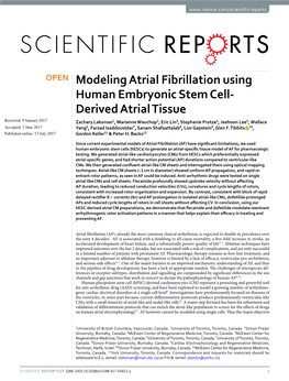 Modeling Atrial Fibrillation Using Human Embryonic Stem Cell