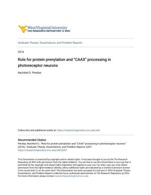 Role for Protein Prenylation and "CAAX" Processing in Photoreceptor Neurons