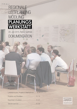 Regionale Leitplanung Mödling Planungs Werkstatt 29