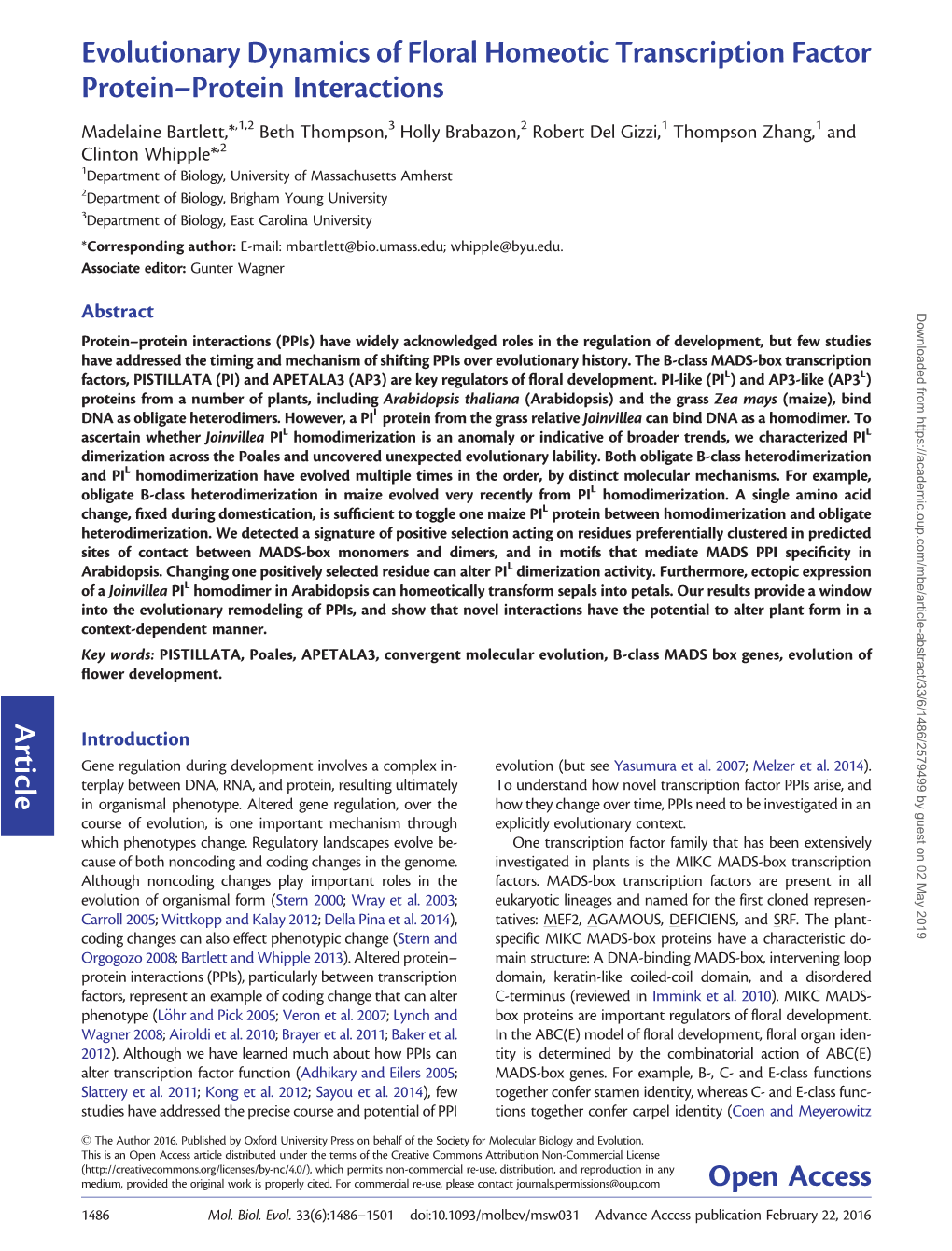 Evolutionary Dynamics of Floral Homeotic Transcription Factor