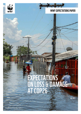 Expectations on Loss & Damage at Cop26