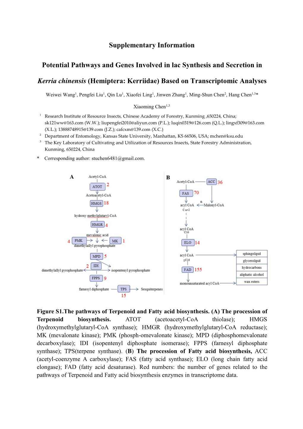 Supplementary Information Potential Pathways and Genes