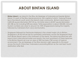 About Bintan Island