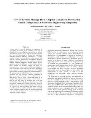 How Do Systems Manage Their Adaptive Capacity to Successfully Handle Disruptions? a Resilience Engineering Perspective