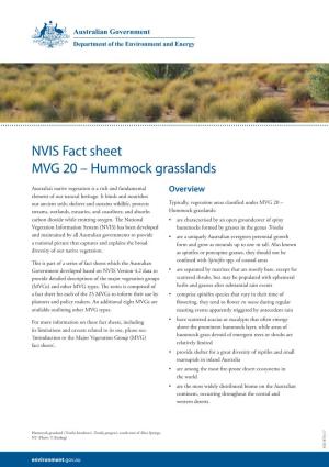 Hummock Grasslands