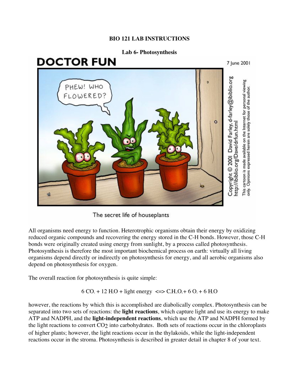 BIO 121 LAB INSTRUCTIONS Lab 6- Photosynthesis All Organisms Need Energy to Function. Heterotrophic Organisms Obtain Their Energ