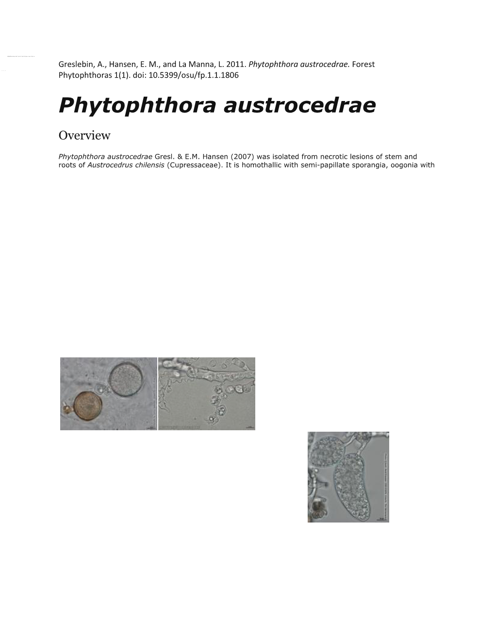 Phytophthora Austrocedrae