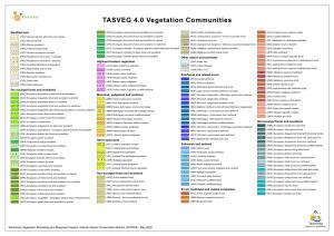 TASVEG 4.0 Vegetation Communities
