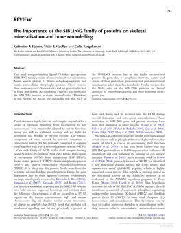 REVIEW the Importance of the SIBLING Family of Proteins On