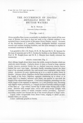 The Occurrence of Idotea Metallica Bosc in British Waters