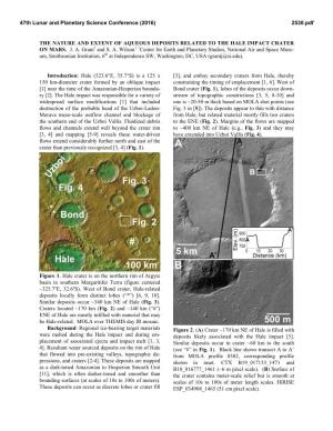 The Nature and Extent of Aqueous Deposits Related to the Hale Impact Crater on Mars