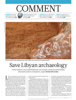 Save Libyan Archaeology Until Violence Eases and Fieldwork Can Resume, Fund Research in Labs, Museums and on Computers, Urges Savino Di Lernia