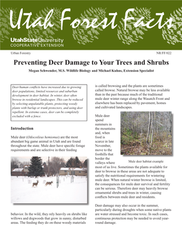 Preventing Deer Damage to Your Trees and Shrubs Megan Schwender, M.S