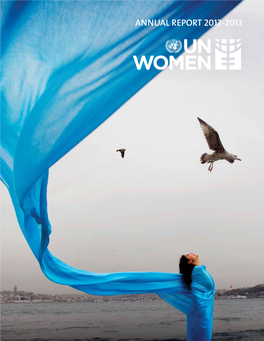 UN Women Annual Report 2012–2013