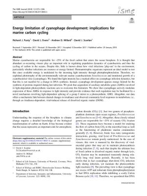 Energy Limitation of Cyanophage Development: Implications for Marine Carbon Cycling