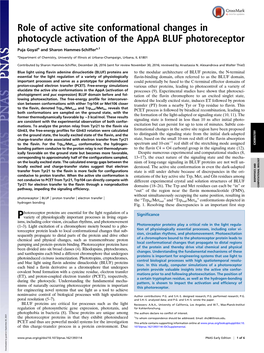 Role of Active Site Conformational Changes in Photocycle Activation of the Appa BLUF Photoreceptor