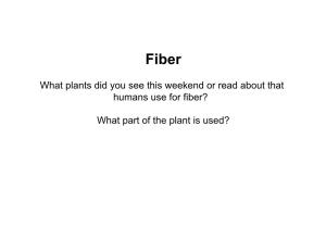 What Plants Did You See This Weekend Or Read About That Humans Use for Fiber?