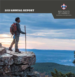 Download 2015 Annual Report for the BSA National Foundation