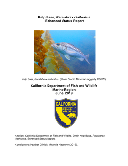Kelp Bass, Paralabrax Clathratus Enhanced Status Report