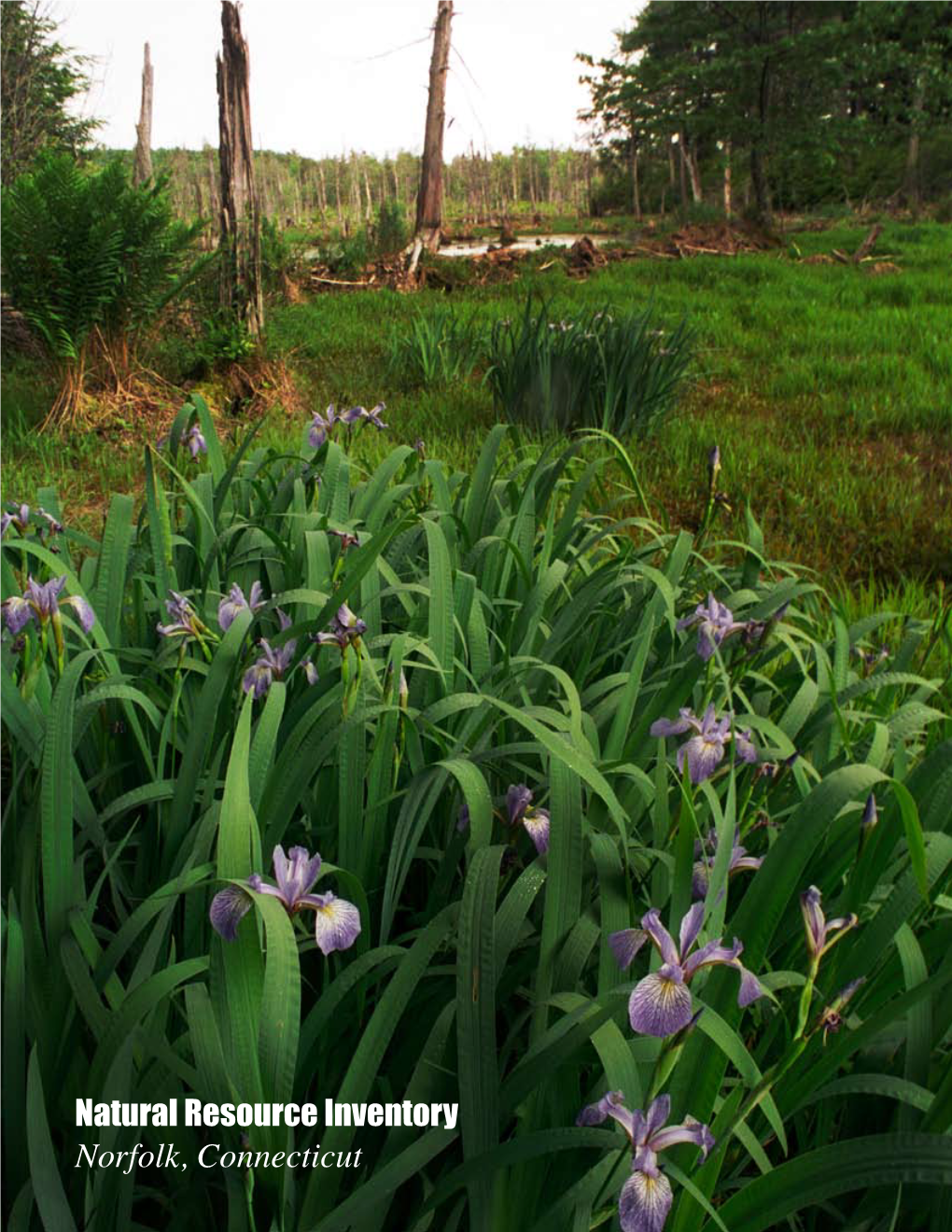 Natural Resource Inventory Norfolk, Connecticut