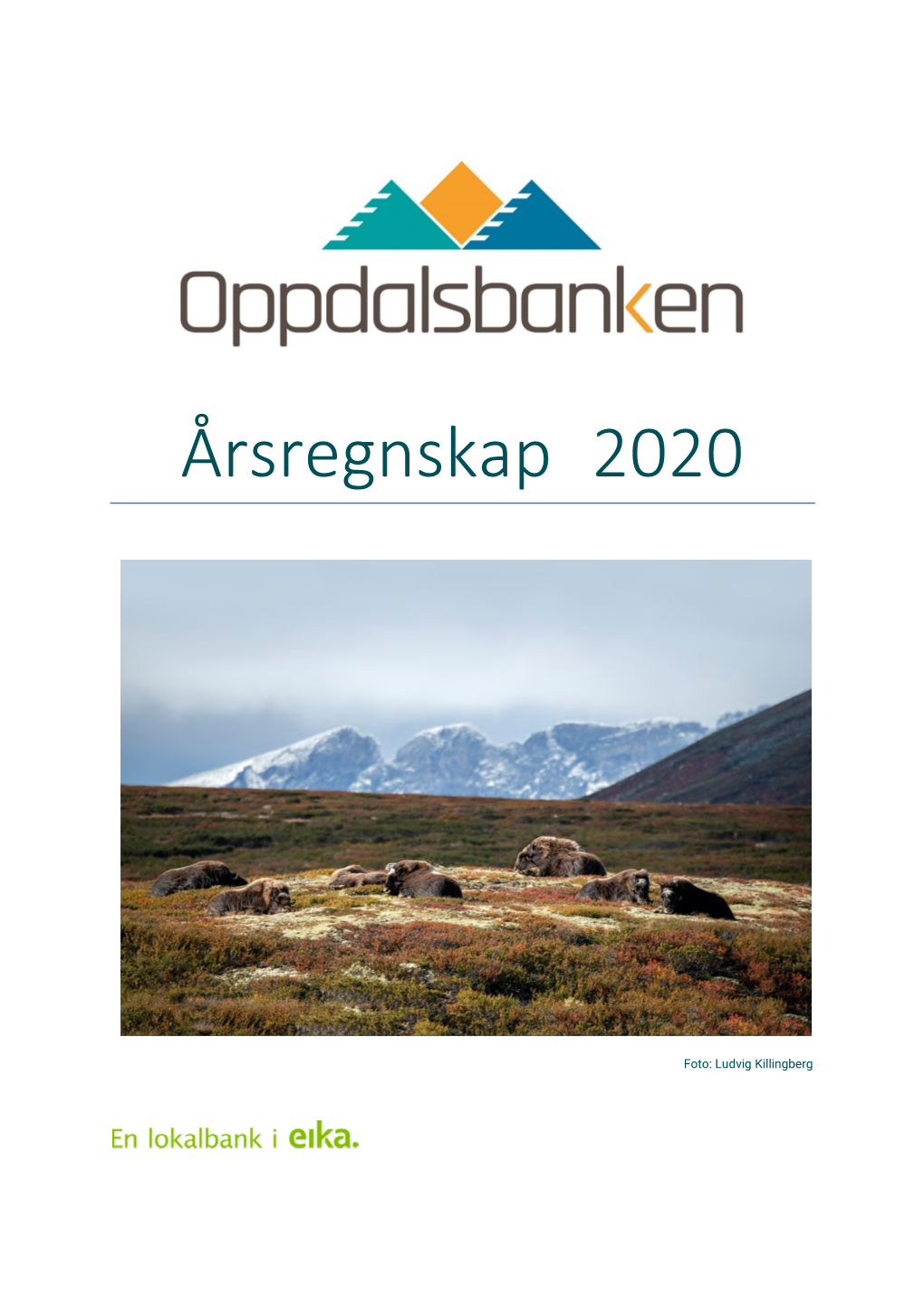 Årsregnskap 2020