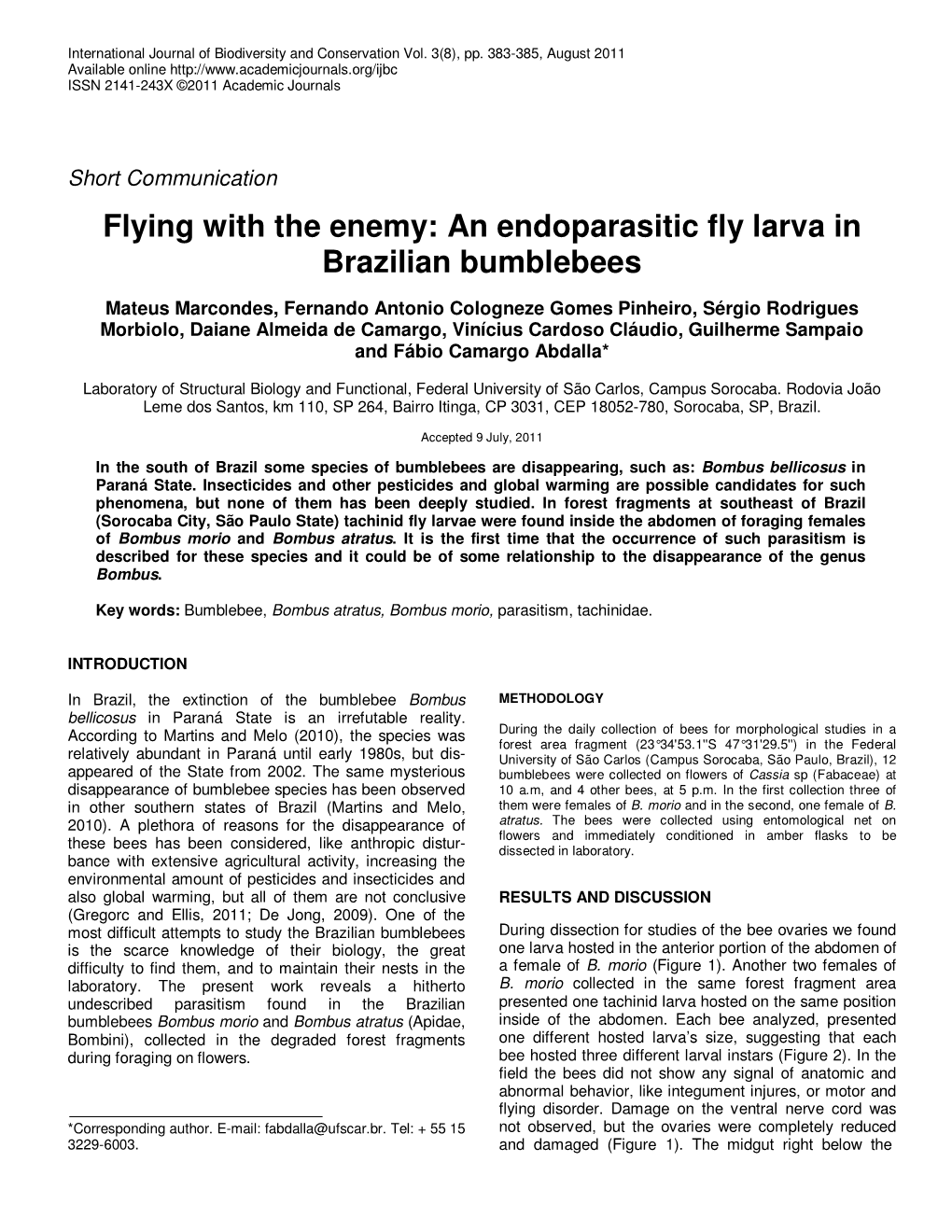 An Endoparasitic Fly Larva in Brazilian Bumblebees