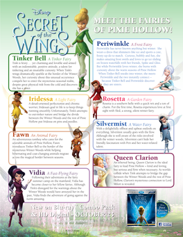 Meet the Fairies of Pixie Hollow!