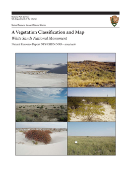 A Vegetation Classification and Map: White Sands National Monument