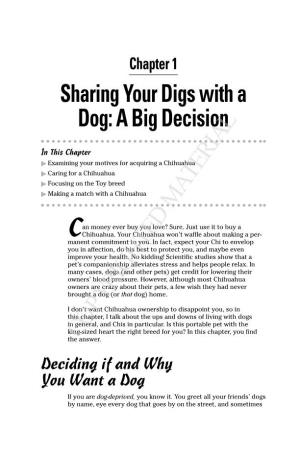 Sharing Your Digs with a Dog: a Big Decision