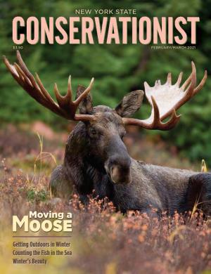 February/March 2021 NYS Conservationist Magazine