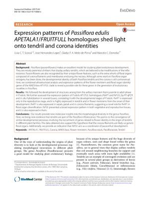 Expression Patterns of Passiflora Edulis APETALA1/FRUITFULL Homologues Shed Light Onto Tendril and Corona Identities Livia C