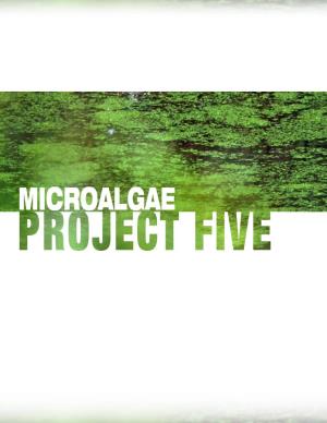 Micro-Algae Protocols