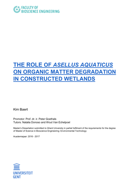 The Role of Asellus Aquaticus on Organic Matter Degradation in Constructed Wetlands